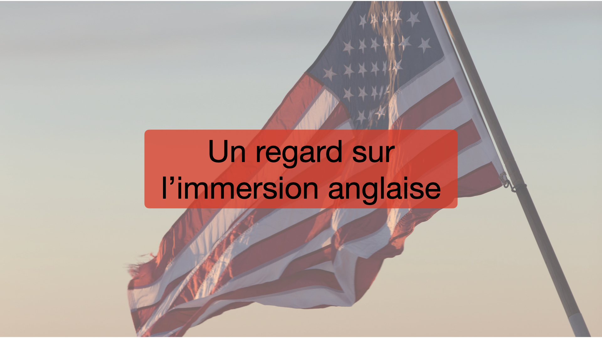 Un regard sur l'immersion...